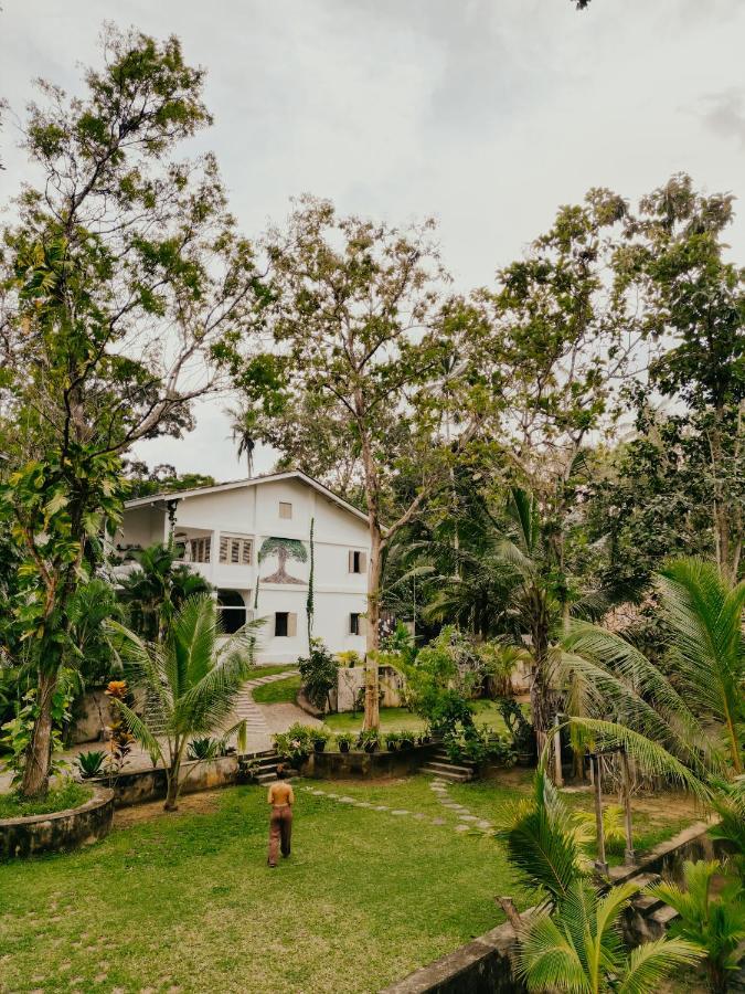 Kirinuga Boutique Retreat Hotell Tangalle Exteriör bild