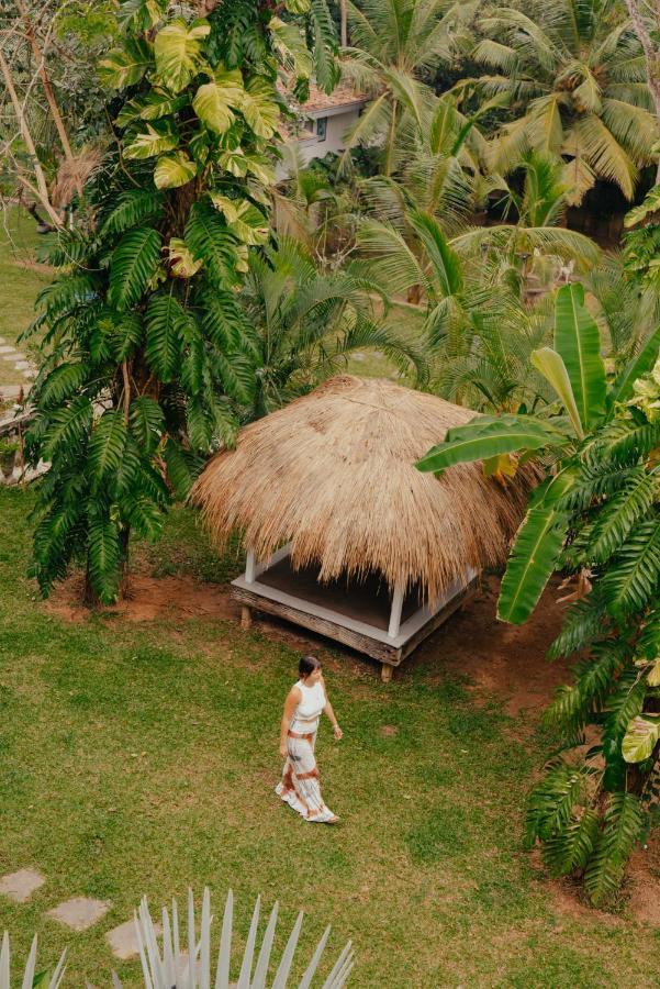 Kirinuga Boutique Retreat Hotell Tangalle Exteriör bild